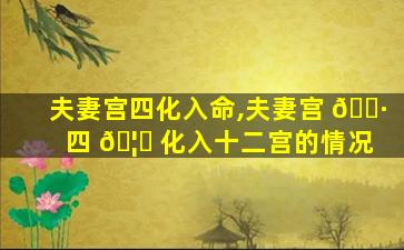 夫妻宫四化入命,夫妻宫 🌷 四 🦉 化入十二宫的情况